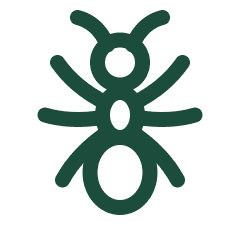 Ant icon