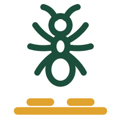 Carpenter ant icon