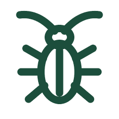 Cockroach icon
