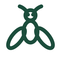 Fly icon
