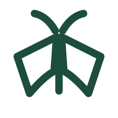 Moth icon