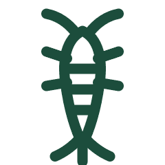 Silverfish icon
