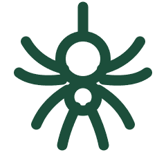 Spider icon