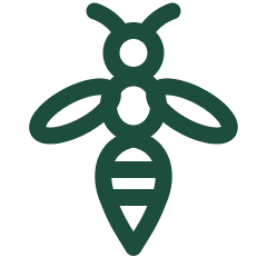 Wasp icon