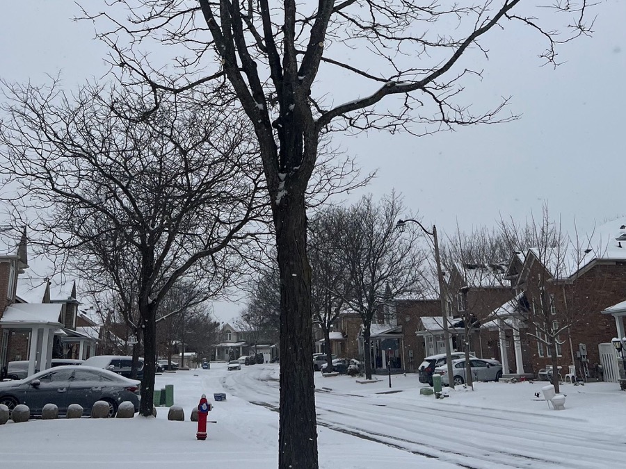 A snow-covered residential street in Brampton, Ontario